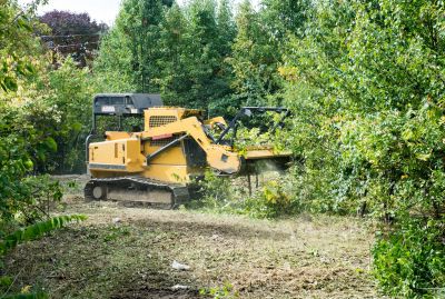 Precision Land Clearing