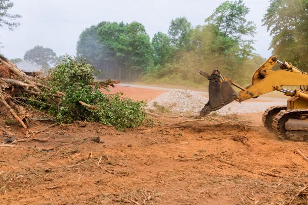 Ground Clearing in Fargo