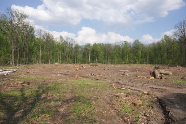 Cost of Pasture Clearing in Fargo