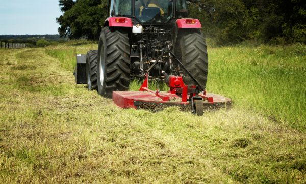 Brush Clearing Service in Fargo