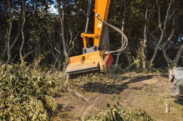 Brush Removal Service in Fargo