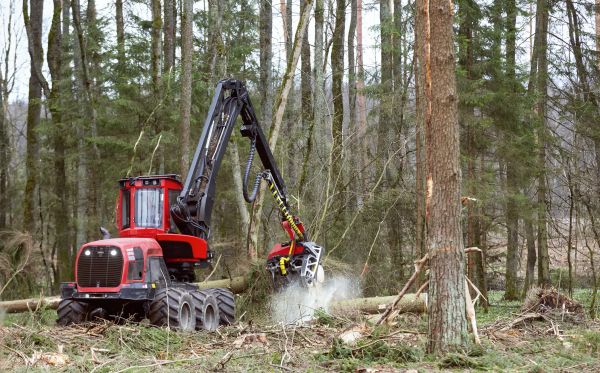 Cost of Forest Clearance Service in Fargo
