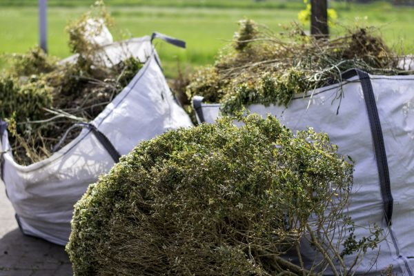 Cost of Bushes Clearing in Fargo