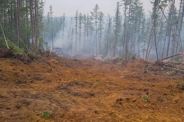 Cost of Hill Clearing in Fargo