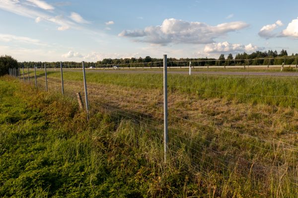 Cost of Property Line Clearing in Fargo