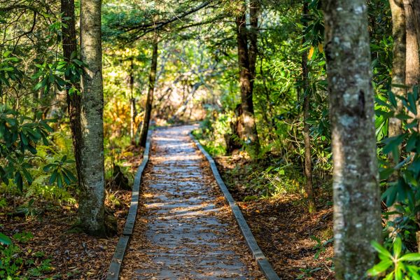 Cost of Trail Clearing in Fargo