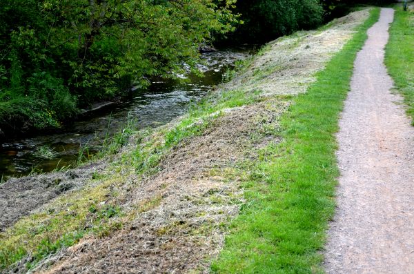 Cost of Trail Cutting in Fargo